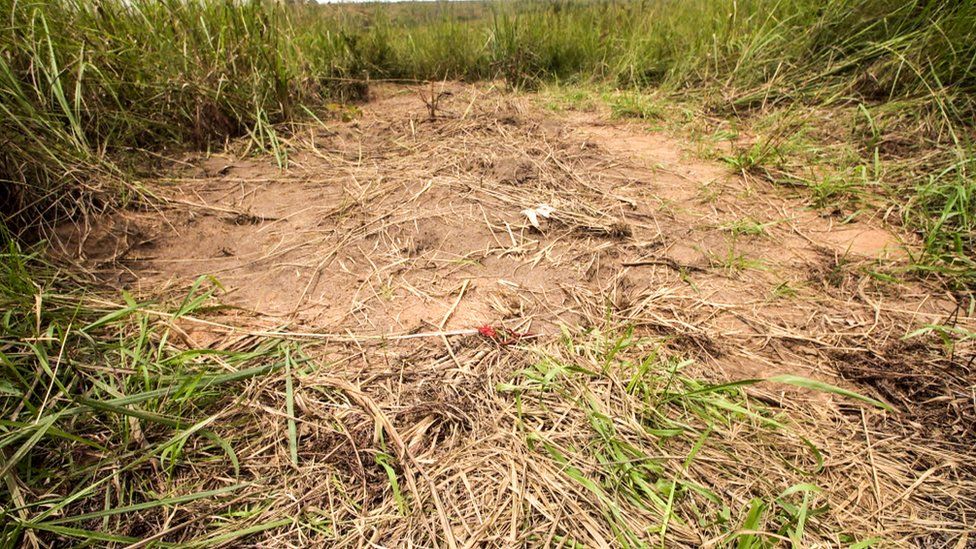 Dug up mound of earth marks one of the 40 mass graves the UN has found in Kasai since fighting began. This is in the town of Tshimbulu.