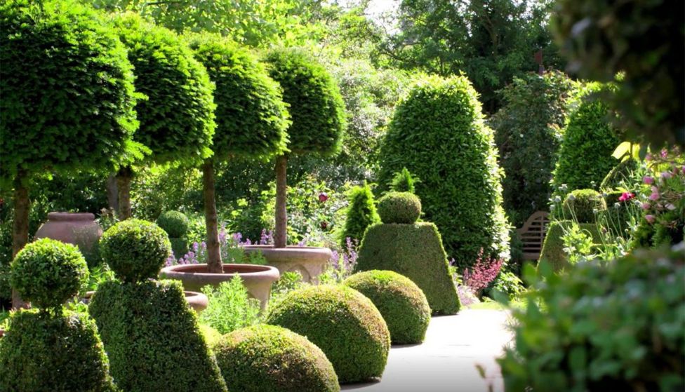 Coronavirus: Private gardens open virtually to support NGS charities ...