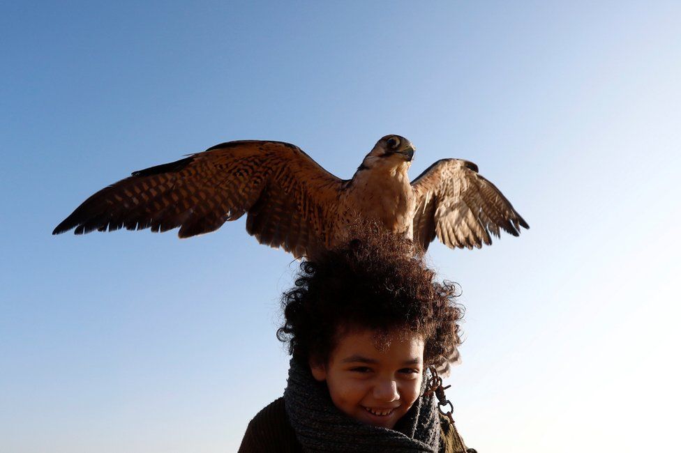 Ammar, 11, a member of EGY Falconer Club plays with his falcon "Ashqar" during a celebration on World Falconry Day at Borg al-Arab desert in Alexandria, Egypt, November 17, 2018