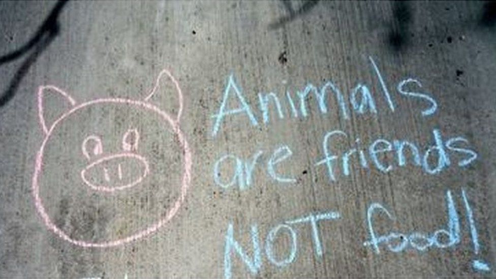 Vegan chalk message on pavement