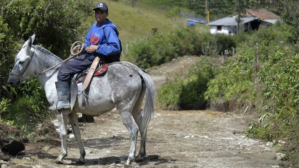 A man rides his horse in La Honda, Carmen de Viboral municipality, Antioquia department, Colombia, on 28 August, 2015