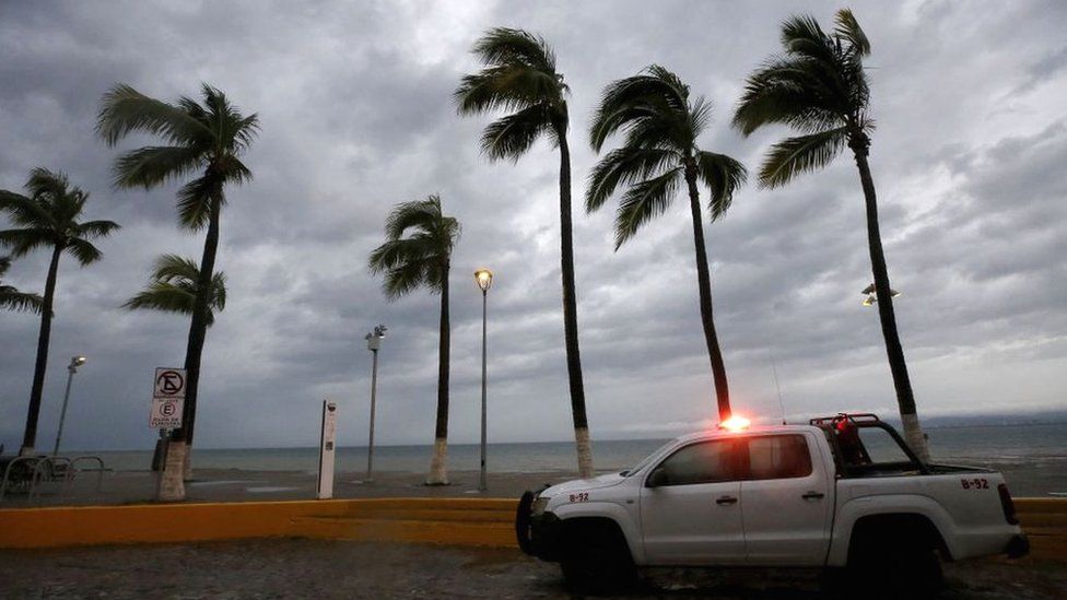 Пальмы покачиваются на ветру, когда ураган Лидия обрушивается на тихоокеанское побережье Мексики в Пуэрто-Вальярта