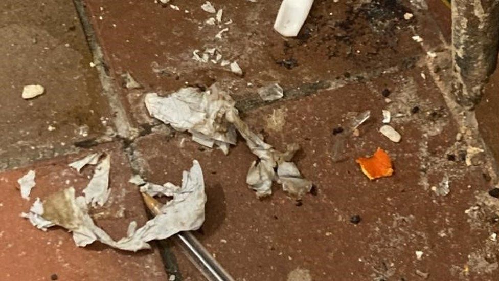 Dunstable care home with mouse infestation fined £25,000 BBC News