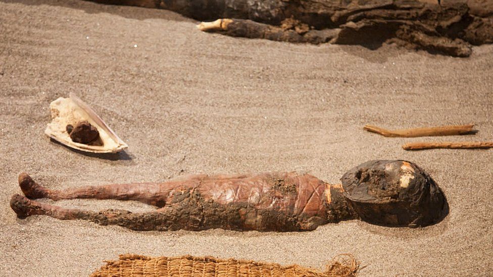 Chinchorro mummy of a child on display in the Archaeological Museum of San Miguel de Azapa