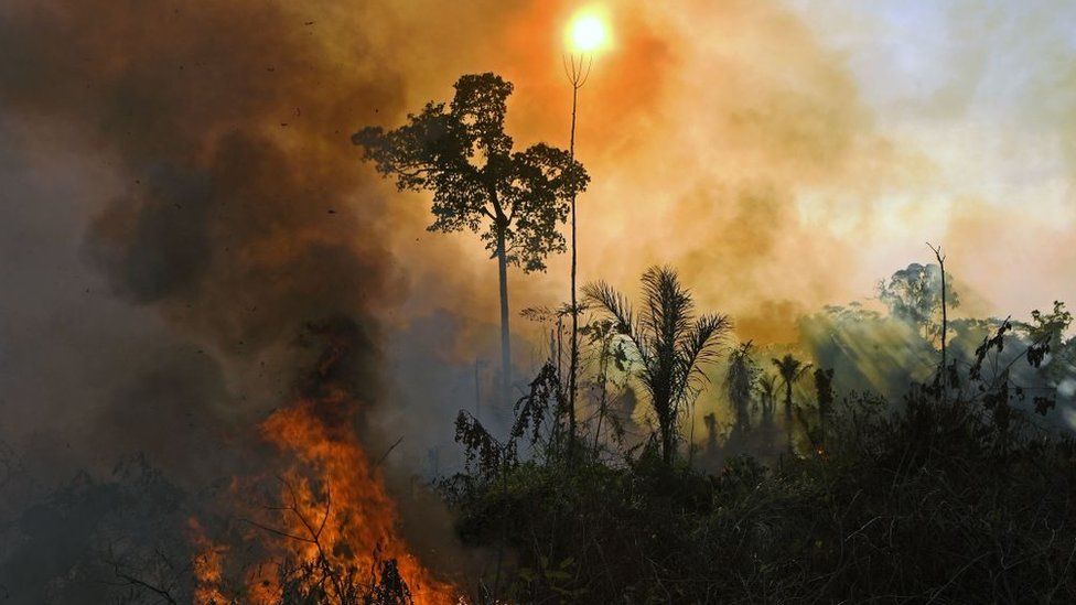 An image of a fire in the Amazon
