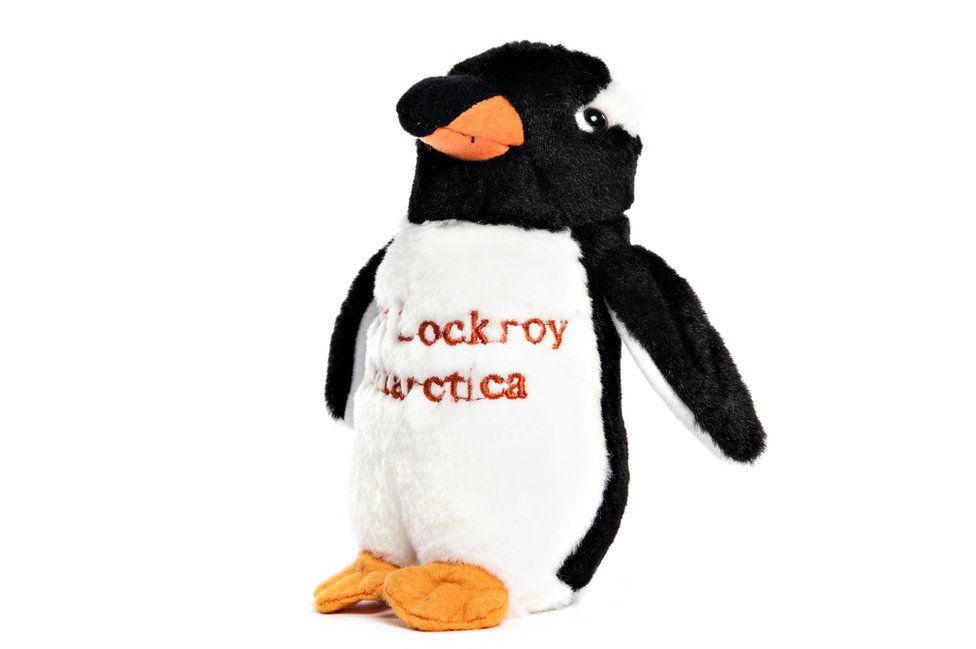 Cuddly toy penguin