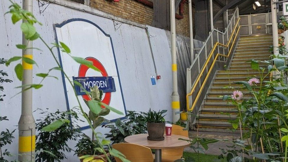 Leaves and foliage provide camouflage for metal poles and a staircase at Morden station.