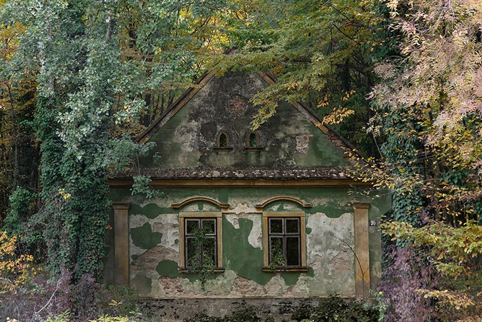 Casa velha coberta de hera
