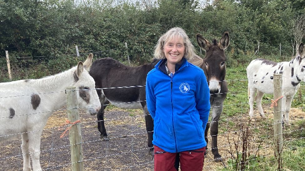 Ruth Stronge, Snowdonia Donkeys, Tregarth, Bangor
