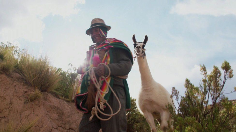Gabriel Condo with one of his llamas
