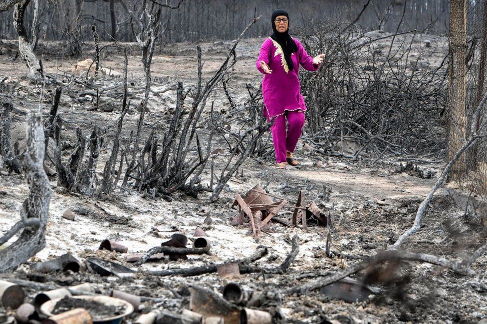 A woman in pink clothes walking through burnt tree stumps.