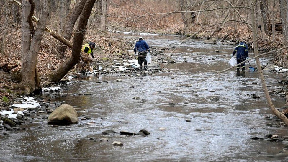 Equipos limpiando peces muertos cerca de East Palestine, Ohio