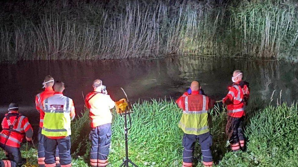 Cambridgeshire: Dolphin dies after inland rescue effort - BBC News