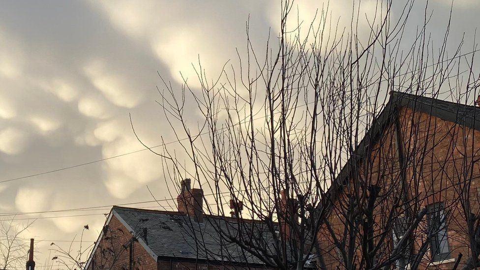 House and tree branches with dark clouds behind