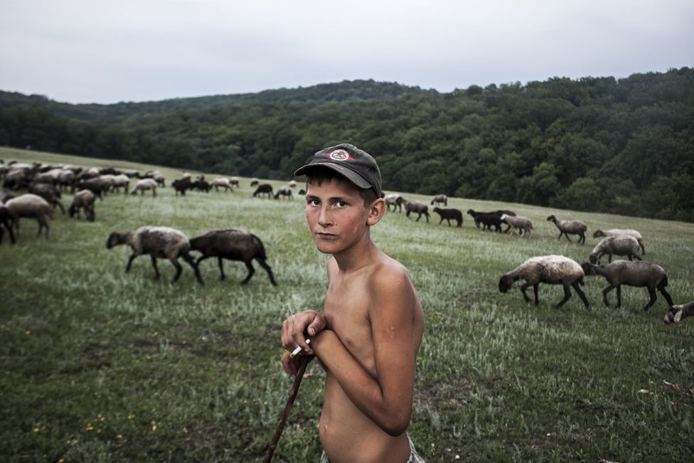 Фото молодого пастуха біля села Тринка, Молдова