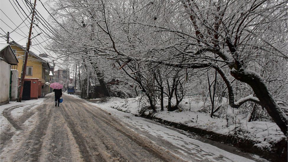 Снегопад в Кашмире, 1 февраля