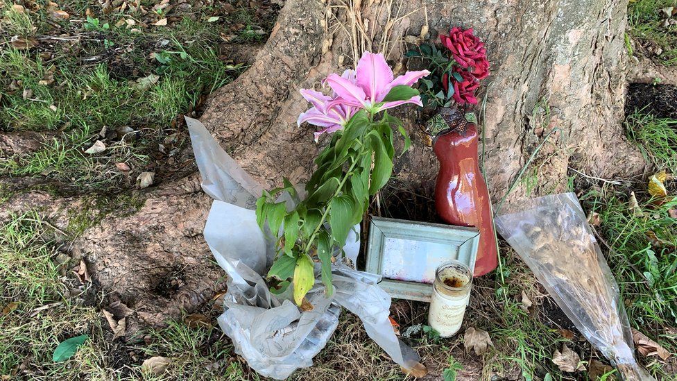 Flowers left near scene where Lily Sullivan’s body was found in Pembroke