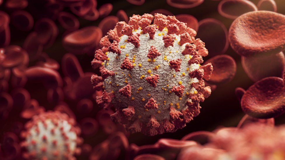 Coronavirus