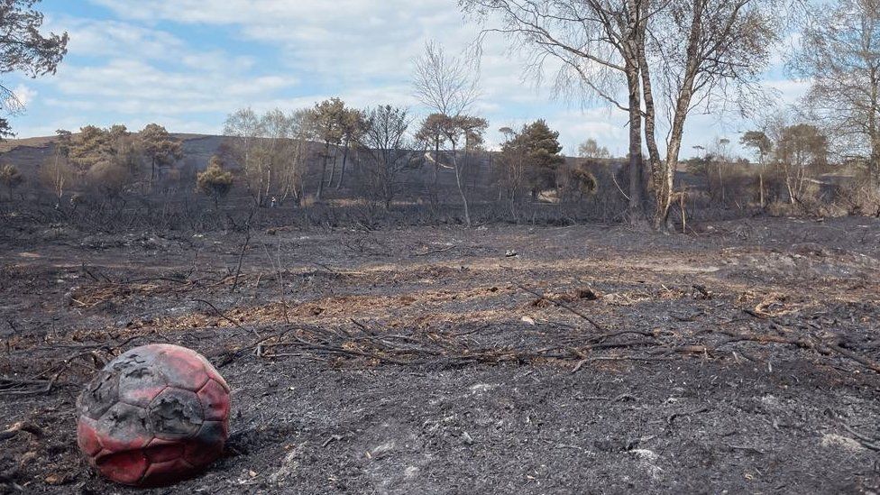 Canford heath blaze aftermath