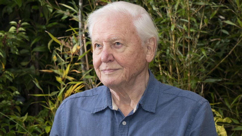 Sir David Attenborough