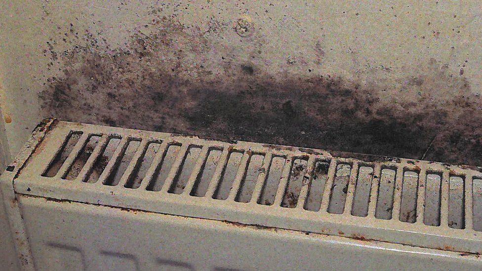 Mould above the radiator at Awaab Ishak's home