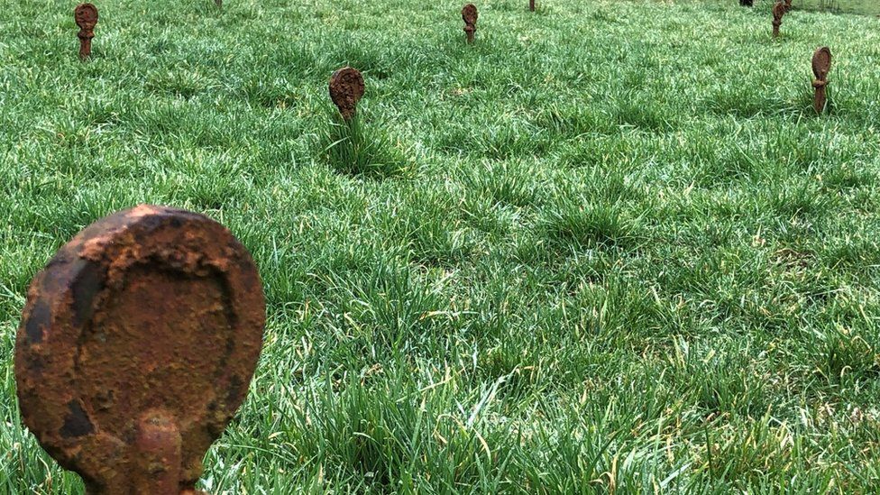 Iron markers in graveyard