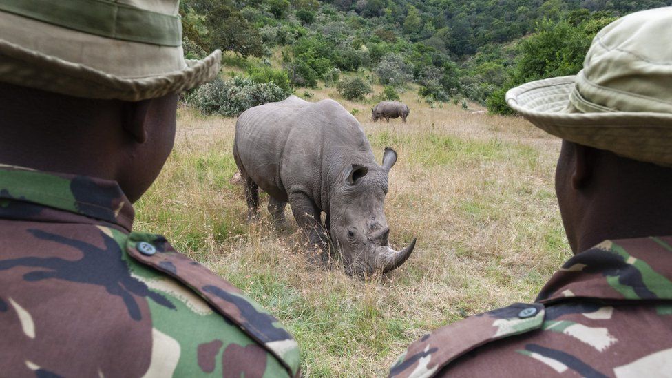 Anti-poaching unit in Kenya