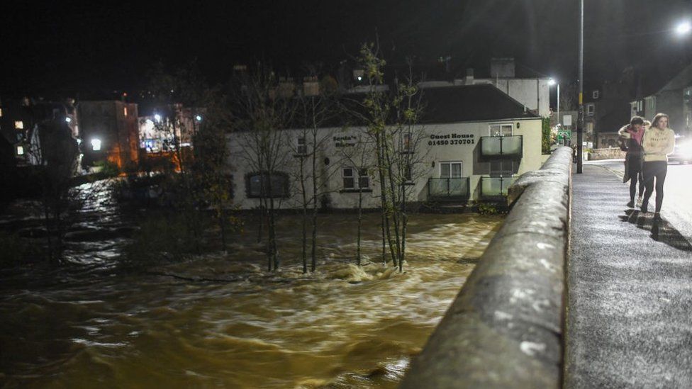 Trees submerged in the River Teviot in Hawick