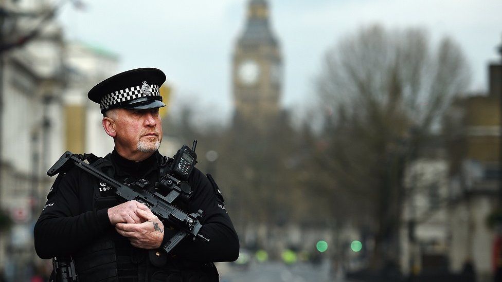 Armed police officer at Westminster