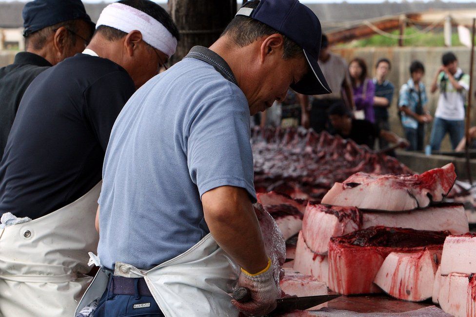 Fishermen process the meat of Baird's Beaked whale at Wada Port in July 2009 in Minamiboso, Chiba
