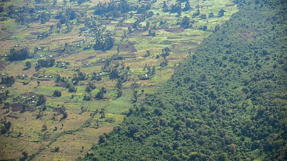 Virunga National Park in the Democratic Republic of Congo is threatened by agricultural pressure