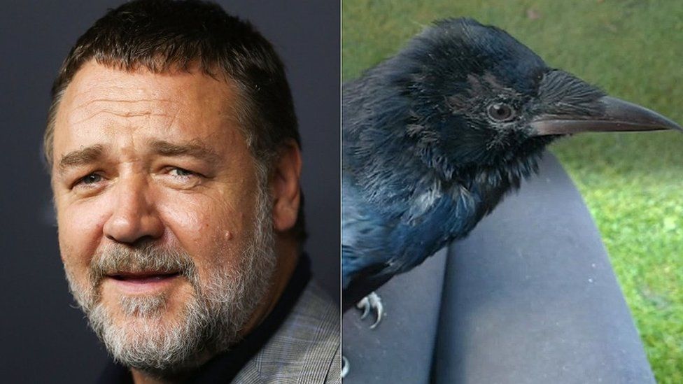 Russell Crowe and Russell Crow