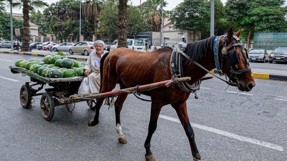 A vendor selling watermelons steers his horse-drawn cart along a street in Cairo on October 2, 2023.