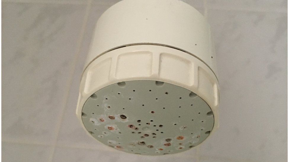 Shower head with mould