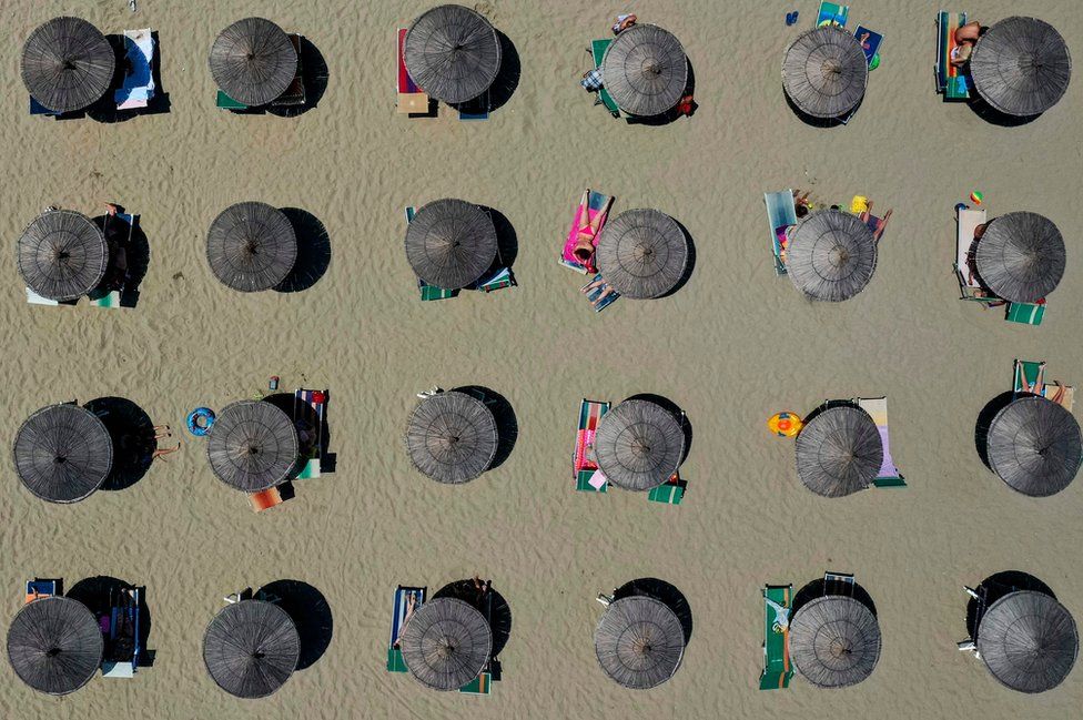 Parasols on a beach