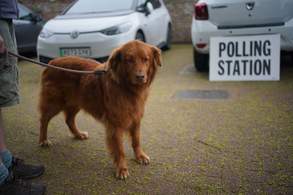Cinna, an 8-year-old rescue dog from Greece, arrives with owners to the polling station at St Alban's Church