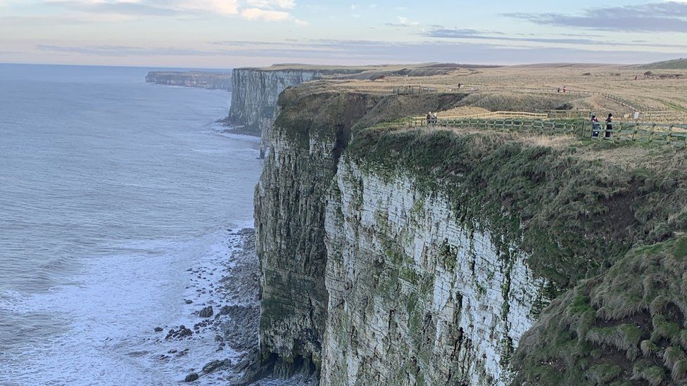 Bempton Cliffs