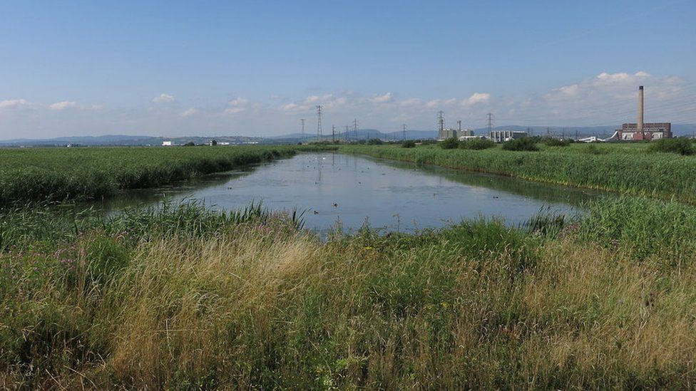 The Gwent Levels