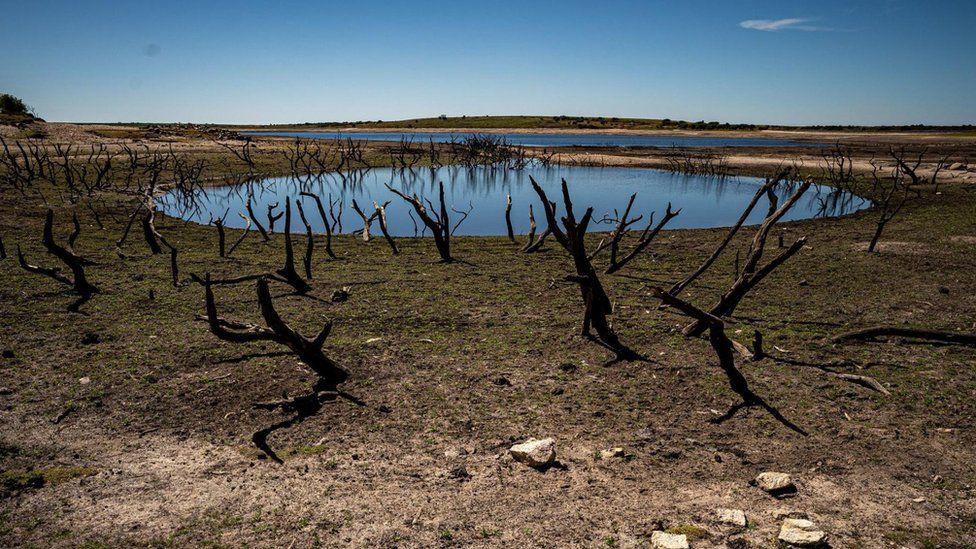 Dried mud and old trees at Colliford Lake, where water levels have severely dropped exposing the unseen trees and rocks at Cornwall's largest lake and reservoir, covering more than 900 acres of Bodmin Moor, Cornwall