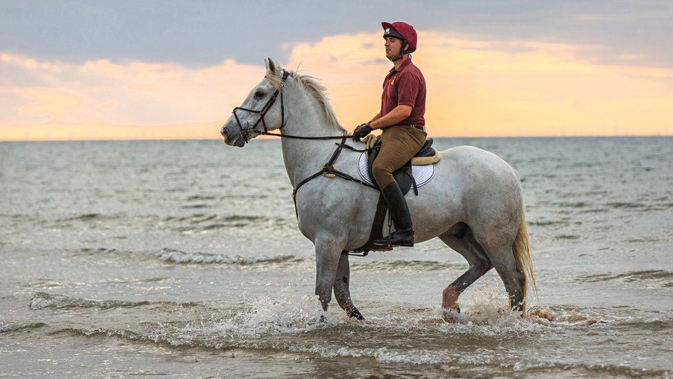 In pictures: British Army horses enjoy beach summer camp - BBC News