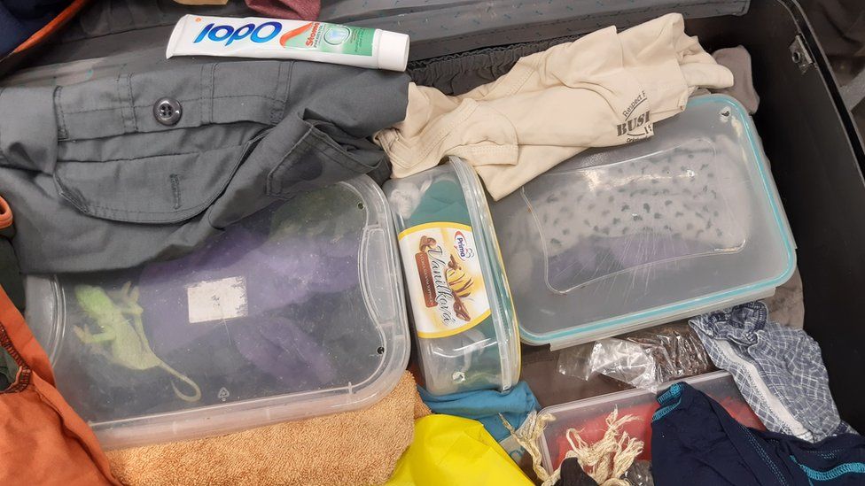 Image shows the suitcase shortly after discovery