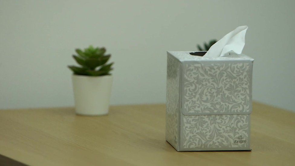 A table at the support centre with a plant and a box of tissues on top