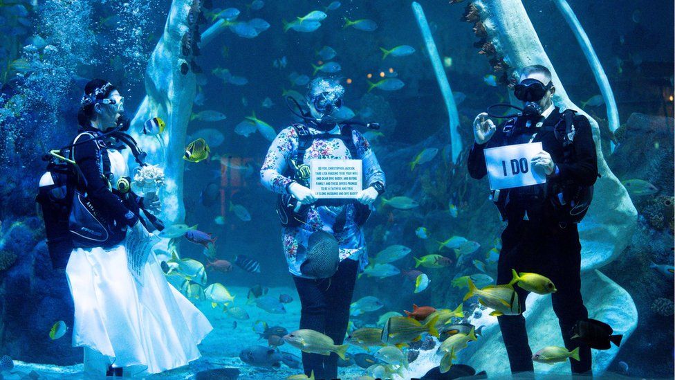 Derbyshire couple hold wedding celebration under water - BBC News