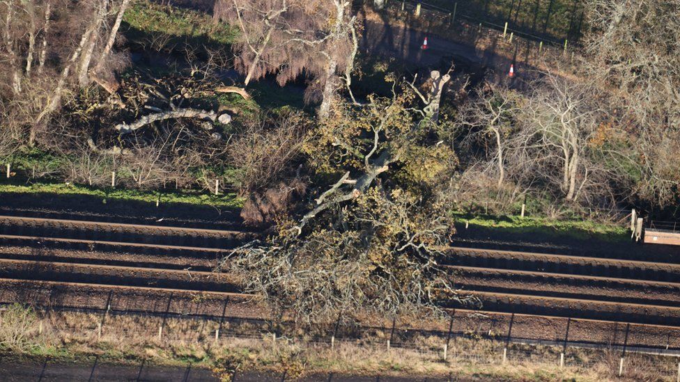 Tree blocking line