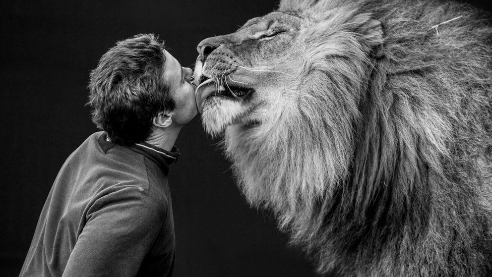 man and lion
