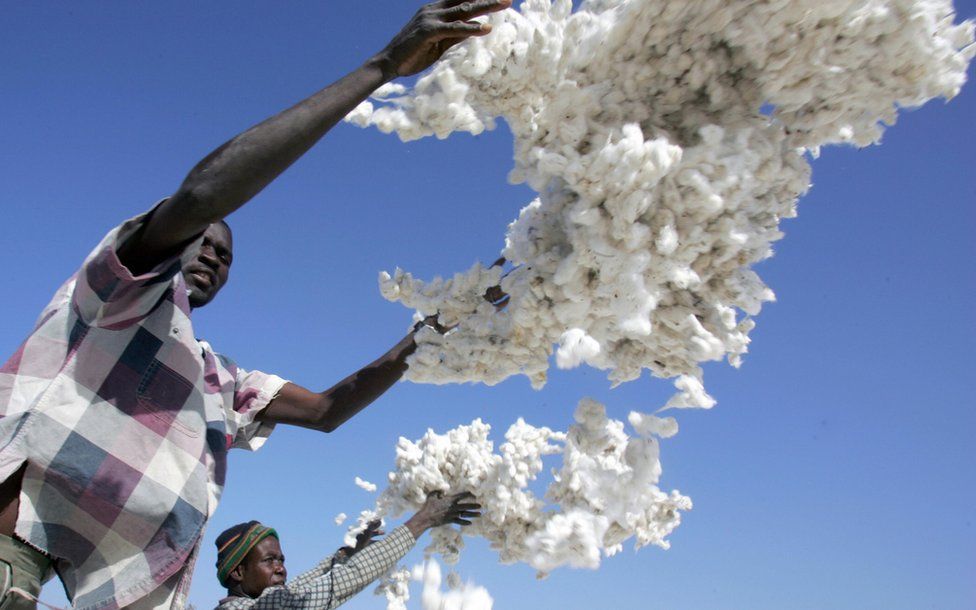 man throws cotton in the air