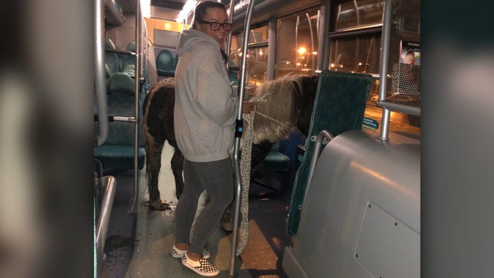 A horse and Harley Stephens on a bus