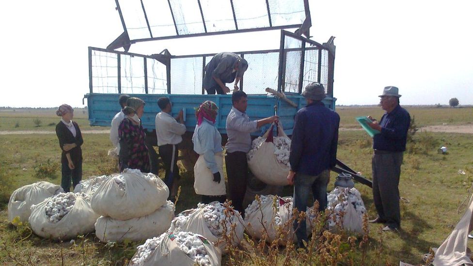 Weighing cotton at Bo'ka, Uzbekistan, 2012