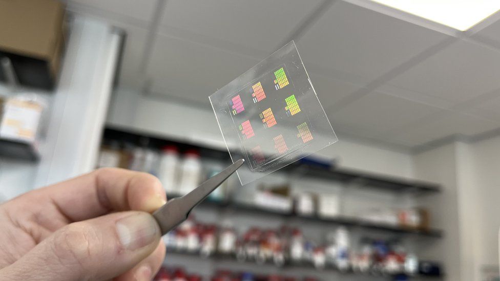 Lab technician holding up light sensitive slide