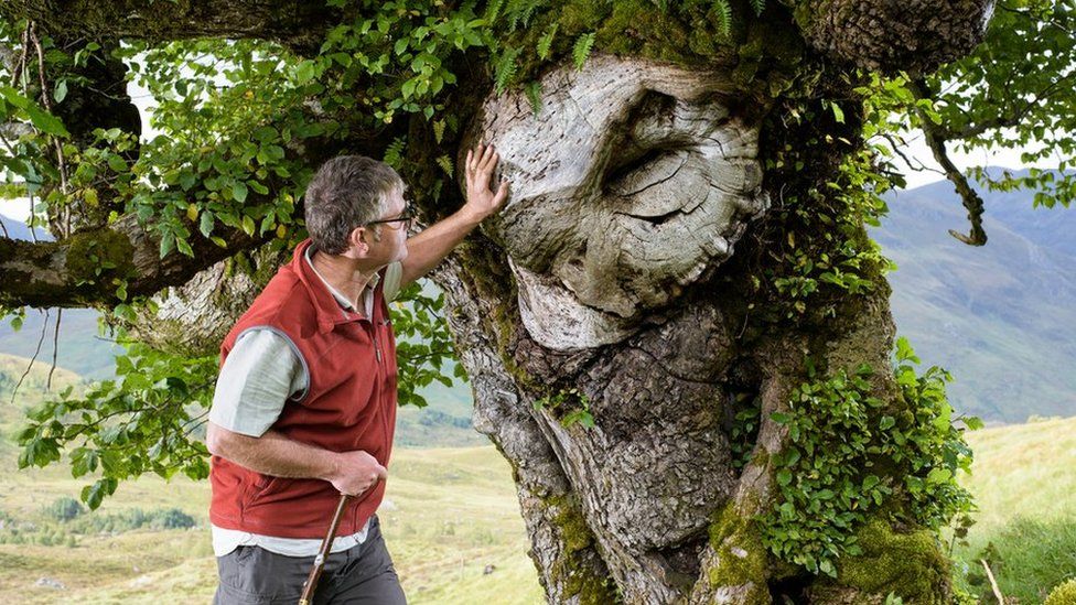 The Last Ent of Affric